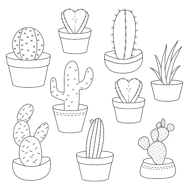 Cactus line art