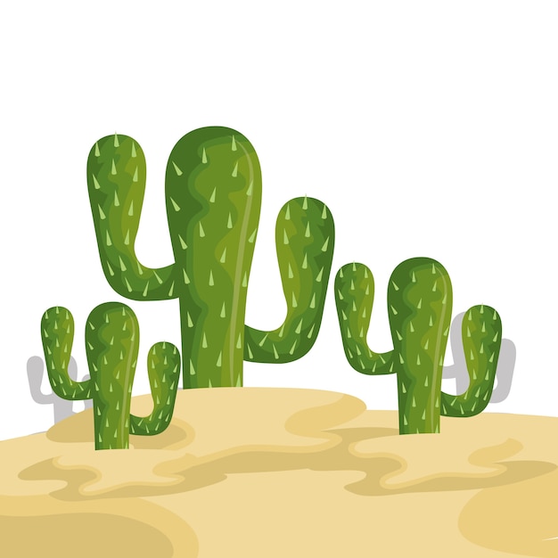 cactus mexican plant icon vector illustration design