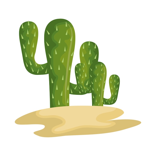 cactus mexican plant icon vector illustration design