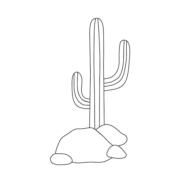 Cactus outline drawing Vector line illustration isolated on white for coloring page or logo