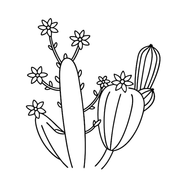 Vector cactus outline vector illustration