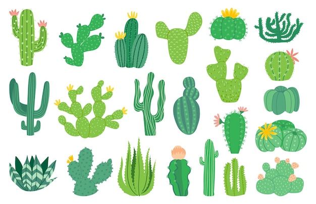 Cactus plant Cartoon decorative exotic succulent tropical desert plant Vector mexican aloe isolated set