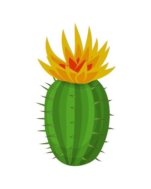 Cactus plant illustration