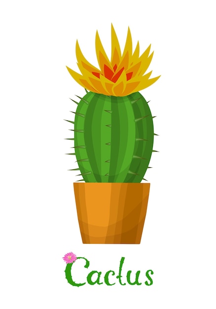 Cactus plant illustration