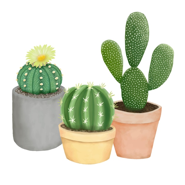 Cactus plant painting white background