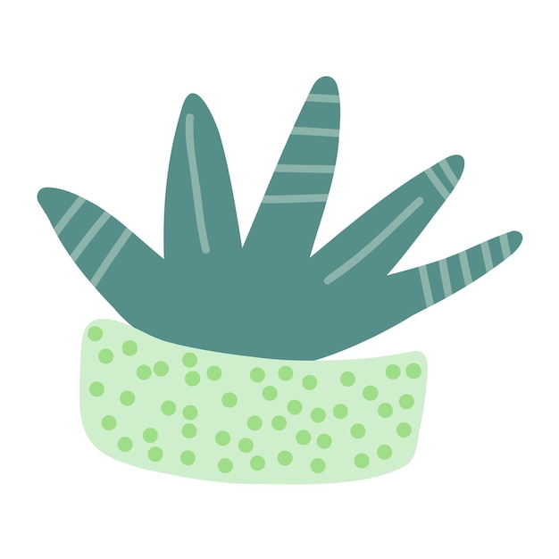 cactus plant in pot. Hand drawn desert tropical cactuses with spines and flowers. Colored flat