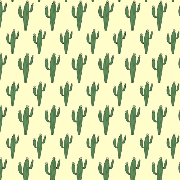 Cactus Plants Colored Pattern Vector