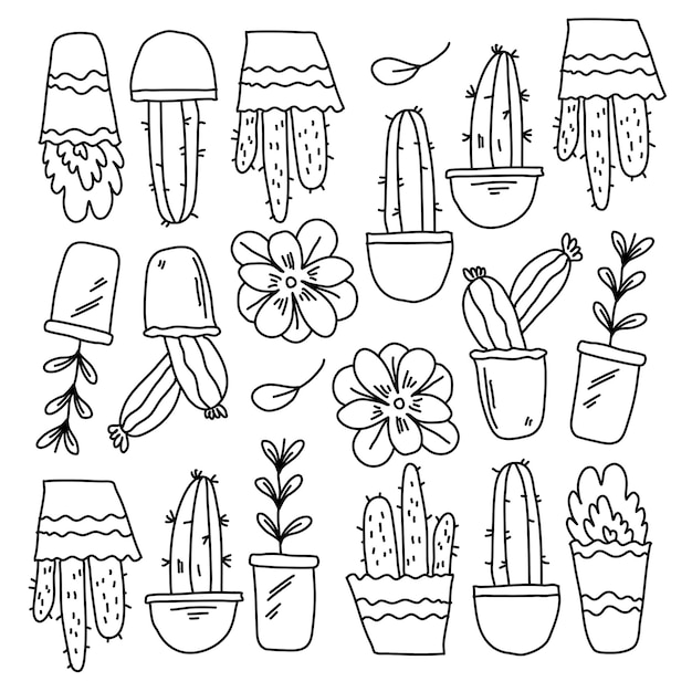 Cactus plants set with doodle line style vector