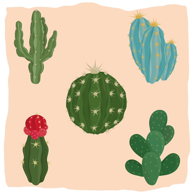 Cactus plants set