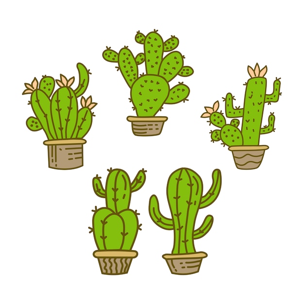 Cactus Pot Design Illustration