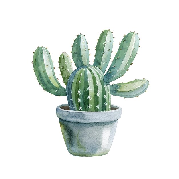 cactus in pot vector illustration in watercolour style