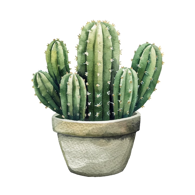 cactus in pot vector illustration in watercolour style