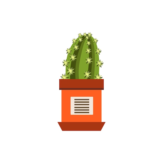 Cactus In A Pot