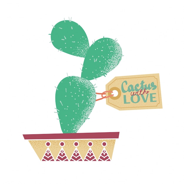 Cactus in a pot