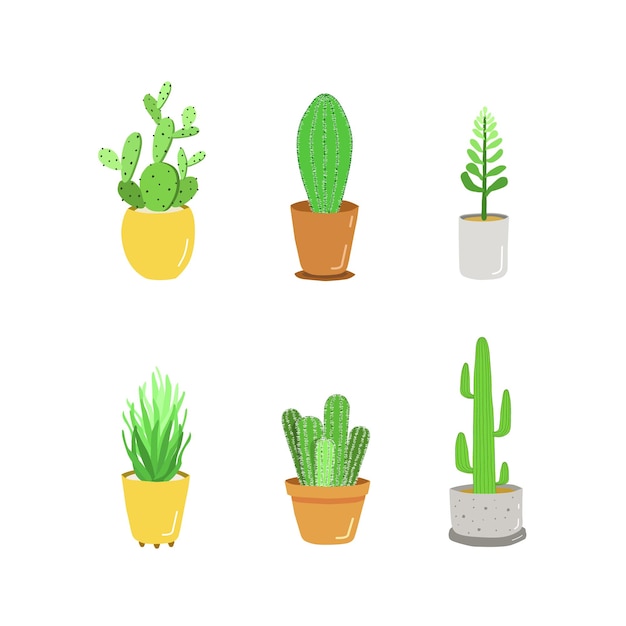 Cactus potted plant illustration