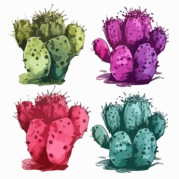 Vector cactus set cactus watercolor painting package