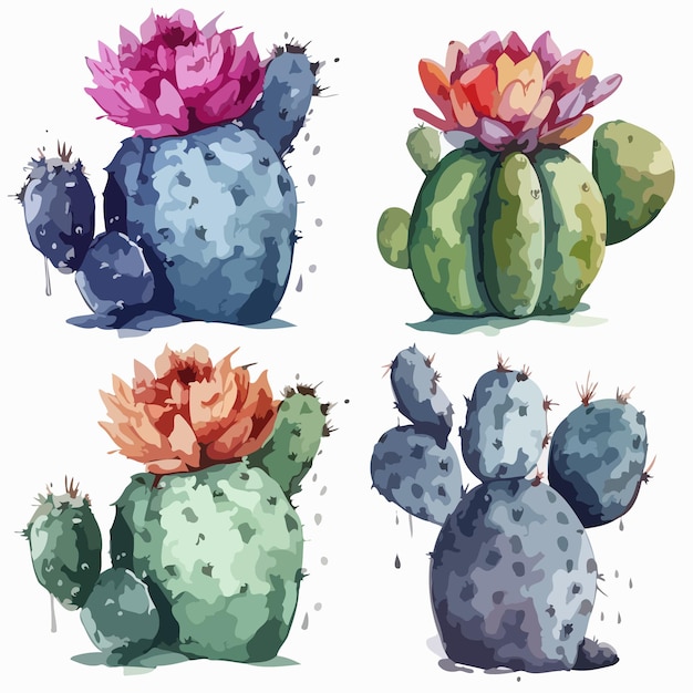 Cactus set Cactus watercolor painting package