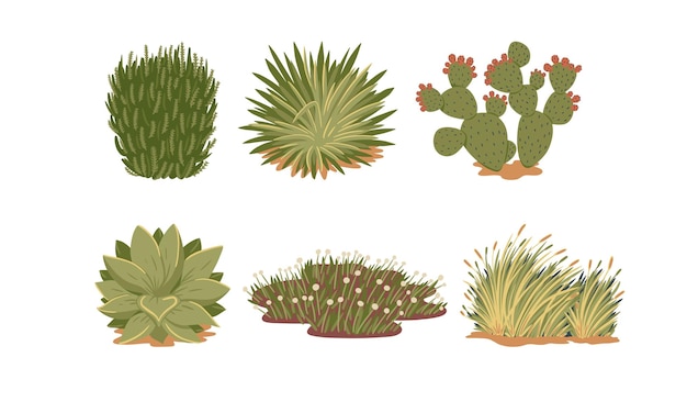 Cactus set Collection of cacti in pots Vector illustration