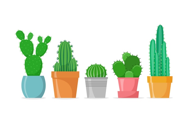 Cactus set in a flat style Different home cacti in pots House succulents Vector