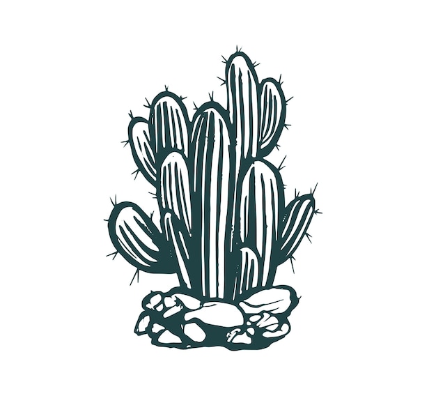 Cactus set hand drawn illustrations, vector