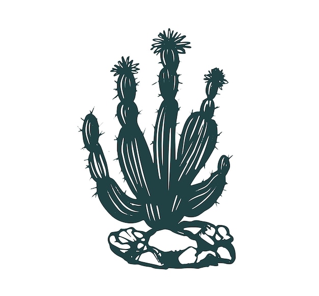 Cactus set hand drawn illustrations, vector