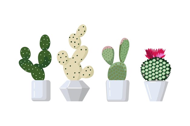 Cactus set vector flat cartoon illustration