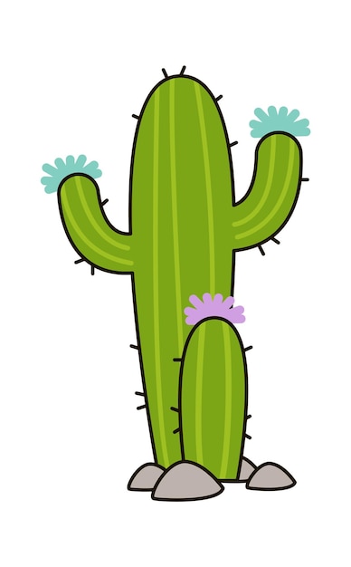 Cactus in stones Vector illustration