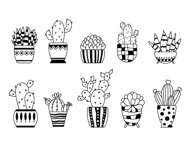 cactus and succulent boho isolated clipart potted cacti vector graphic house plants in flower pots