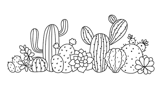 cactus and succulent floral border clipart doodle cactus composition isolated vector  items