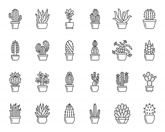 Cactus and succulent line icons set, home garden and desert plant in flower pot simple sign.