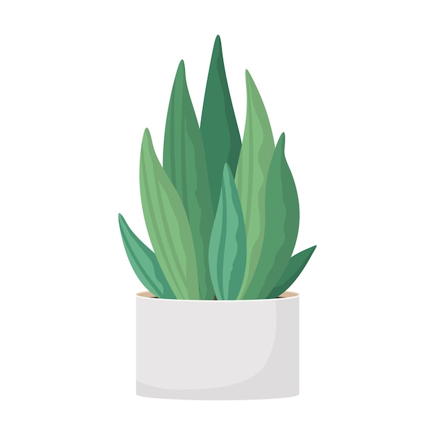 Cactus and succulent in pot domestic colorful cartoon vector illustration