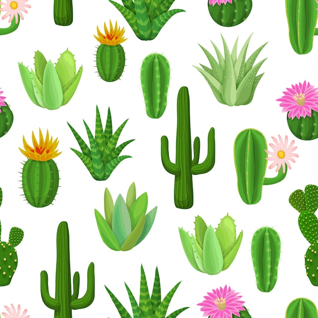 Cactus and succulent seamless pattern