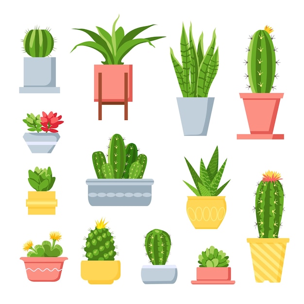 Cactus and succulents. Cute cartoon cacti in pots. Mexican exotic home plant with spines and flowers. Decorative garden succulent vector set. Illustration mexican houseplant, exotic flora in pot