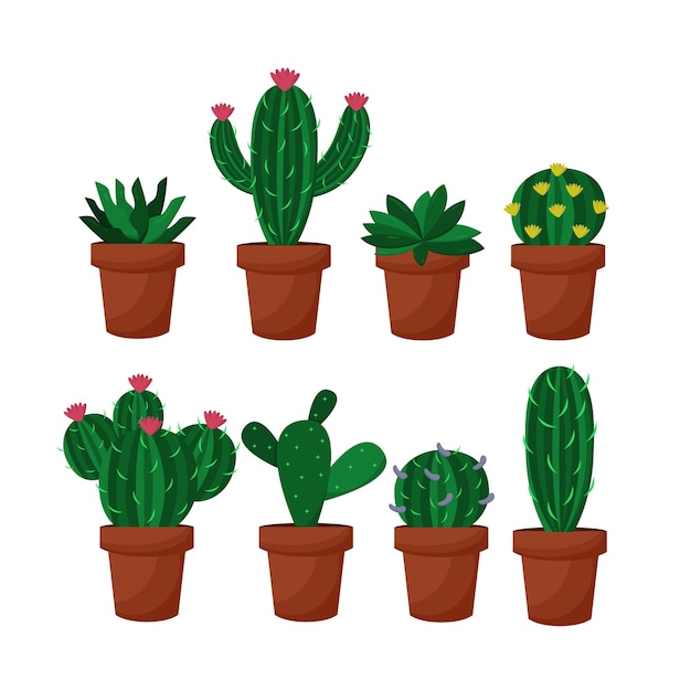 Cactus Vector Art