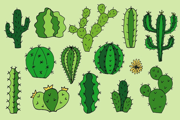 Cactus vector doodle cartoon Hand drawn illustrations