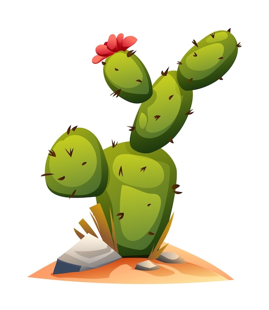 Vector cactus vector illustration isolated on white