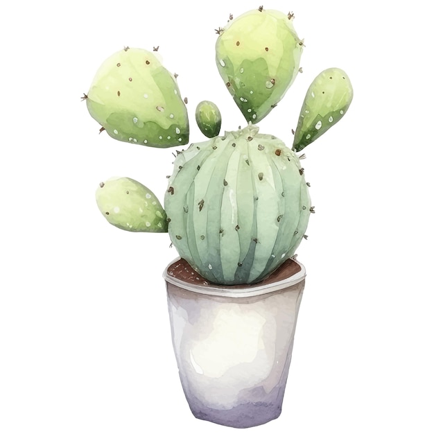 Cactus Watercolor IllustrationSucculent and Cacti Prints Elements