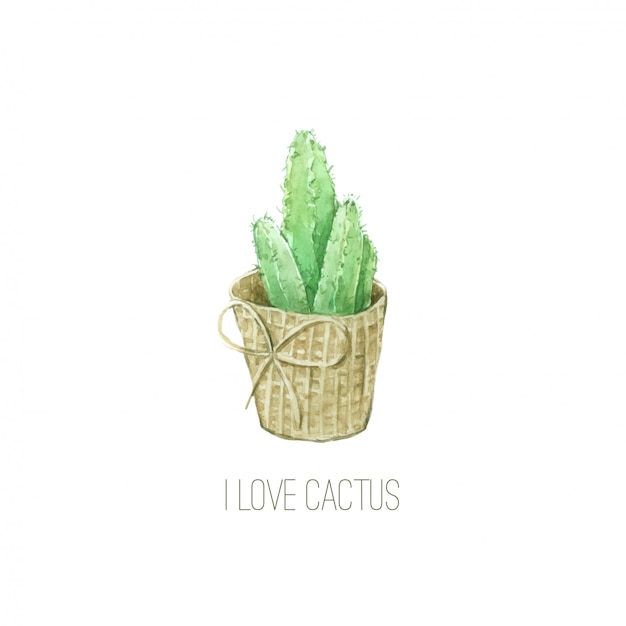 Cactus watercolor