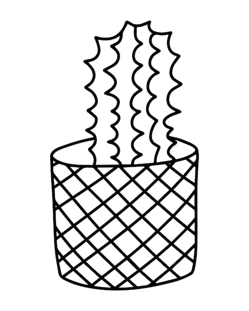 Cactus with needles in a wicker pot plant indoor decor interior doodle linear cartoon