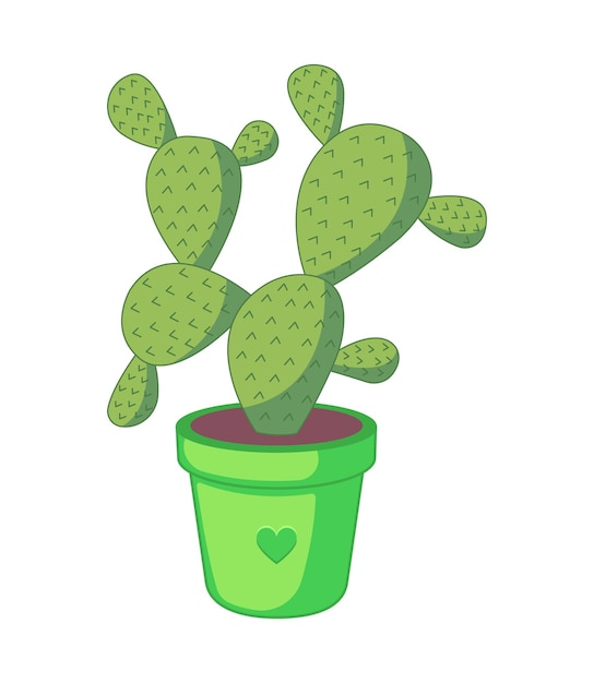 Cactuse