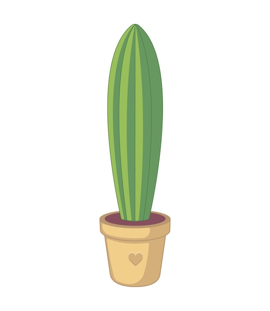 Cactuse