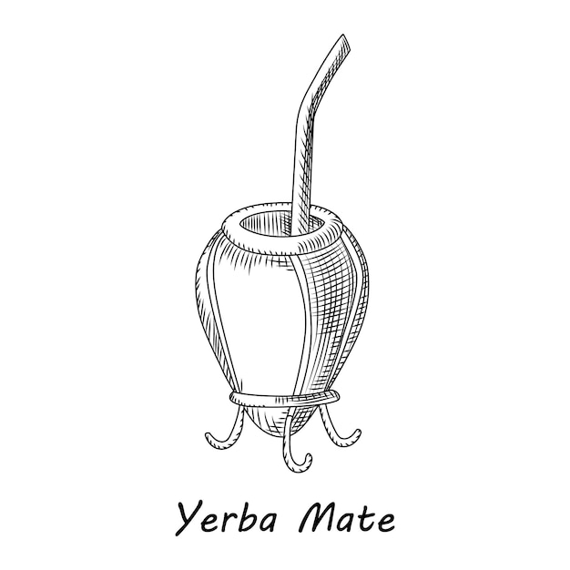 Calabash and bombilla for yerba mate drink isolated on white background. Mate tea engraving style vector illustration.