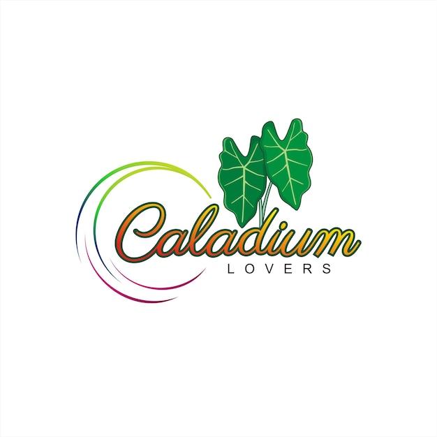 Caladium lovers leaf simple design vector