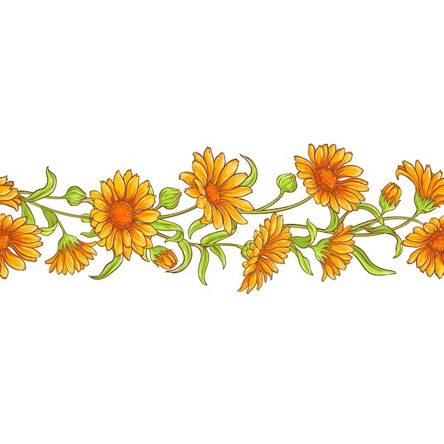 Calendula flower vector pattern