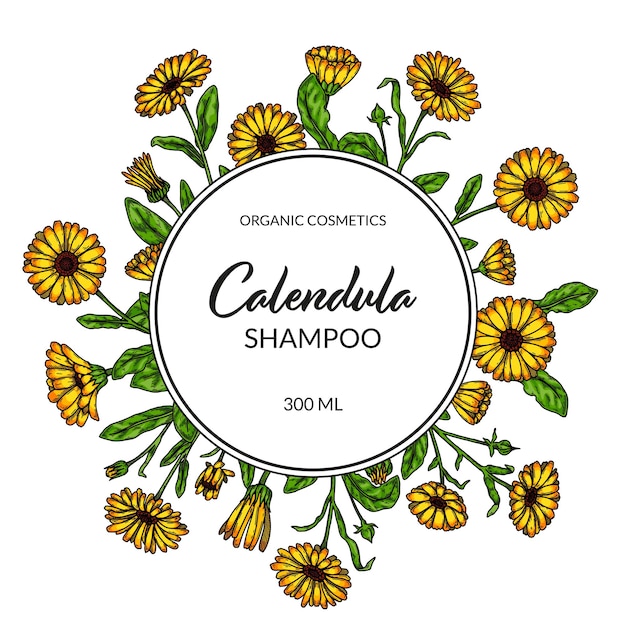 Calendula frame with hand drawn elements Vector illustration in sketch style