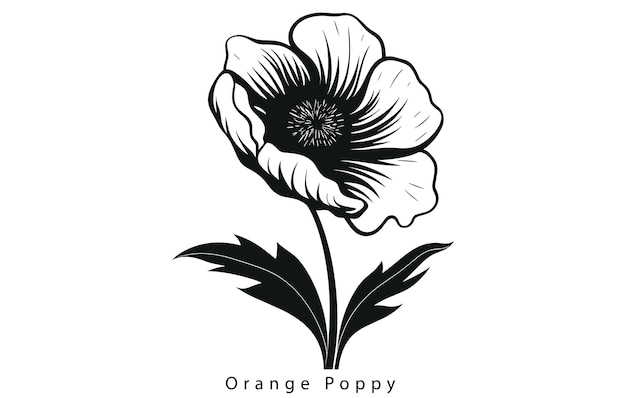 California Poppy California Poppy Vector Poppy Flower Poppies Vector Pretty Flower Vector