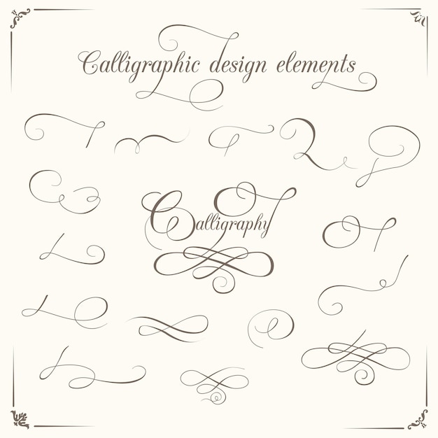 Calligraphic design elements vector set