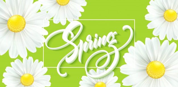 Calligraphic inscription Hello Spring with spring flower - blooming white daisy.