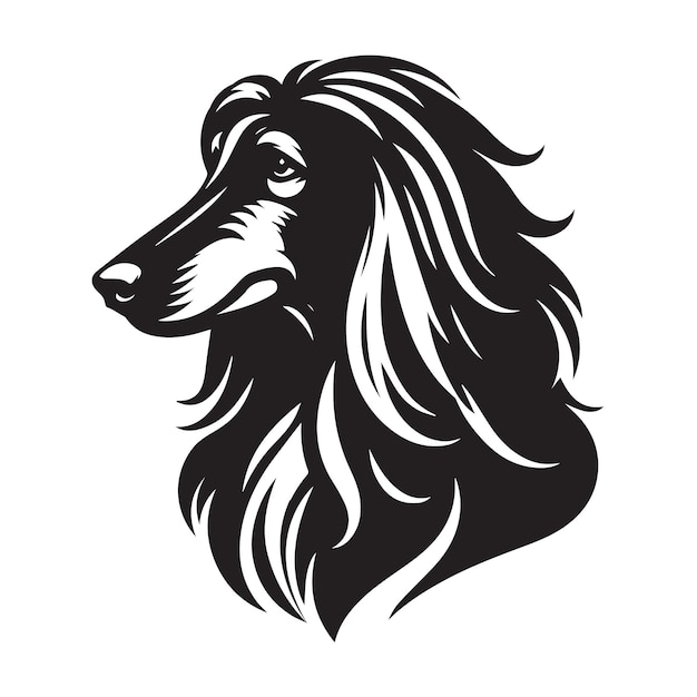 Calm Afghan Hound Dog Face vector illustration in black and white