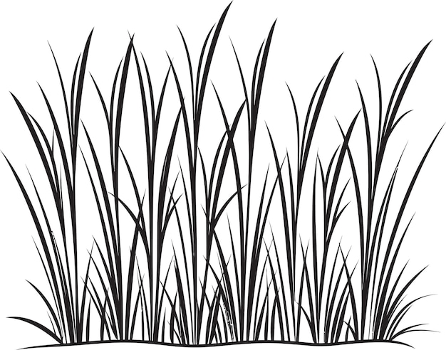 The Calm of Nature Peaceful Vector Illustrations of Grass and Serenity